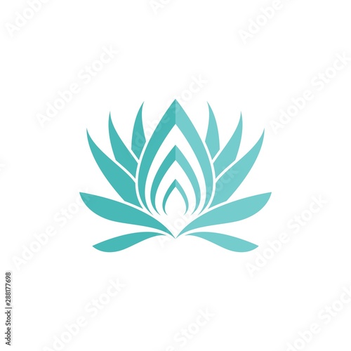 Beauty flowers logo template