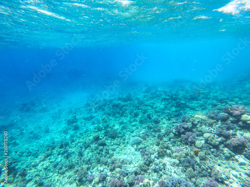 Underwater background of ocean and free space for your decoration.  © magdal3na