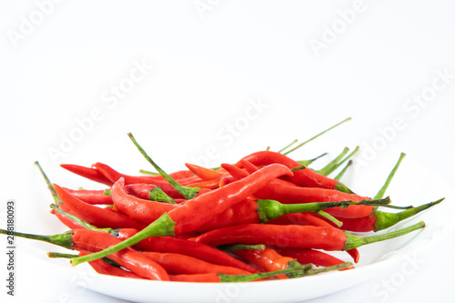 red chilli pepper an isolated on white background