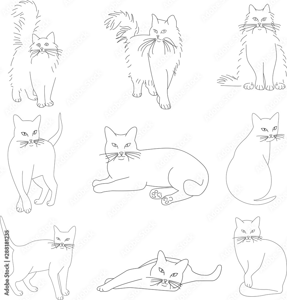 Vector set of a stylish cats. Silhouette of a cats. Modern trend design. Concept for logos, flyers, packs, prints and posters. Pet care, pet food and pets concept Vector set of a stylish cats. Silhouette of a cats. Modern trend design. Concept for logos, flyers, packs, prints and posters. Pet care, pet food and pets concept