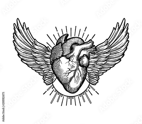 Decorative naturalistic heart with wings.