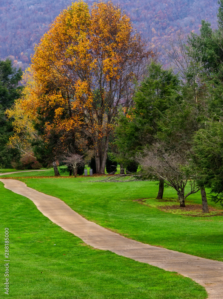 Naklejka premium Autumn Colors on Golf Course