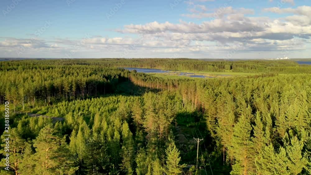 Finnish forest and electrical lines captured with drone on sunny day with some clouds Finnish forest and electrical lines captured with drone on sunny day with some clouds