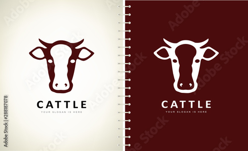 Cow logo vector. Animal design. Cattle logo.
