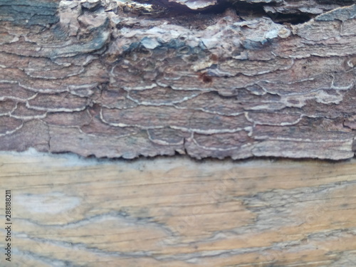 old wooden background