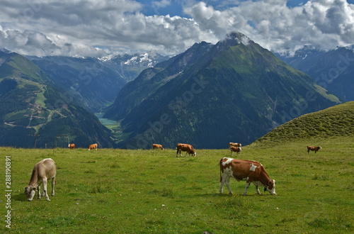 Zillertaler Alpen, Blick vom Penken zum Stilluptal, Österreich