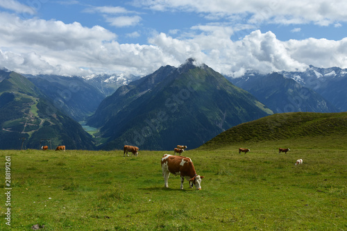 Zillertaler Alpen, Blick vom Penken zum Stilluptal, Österreich