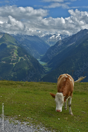 Zillertaler Alpen, Blick vom Penken zum Stilluptal, Österreich