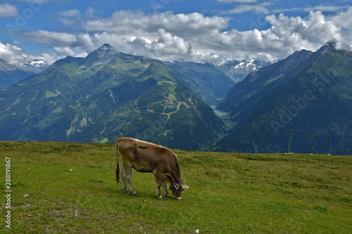 Zillertaler Alpen  Blick vom Penken zum Stilluptal    sterreich