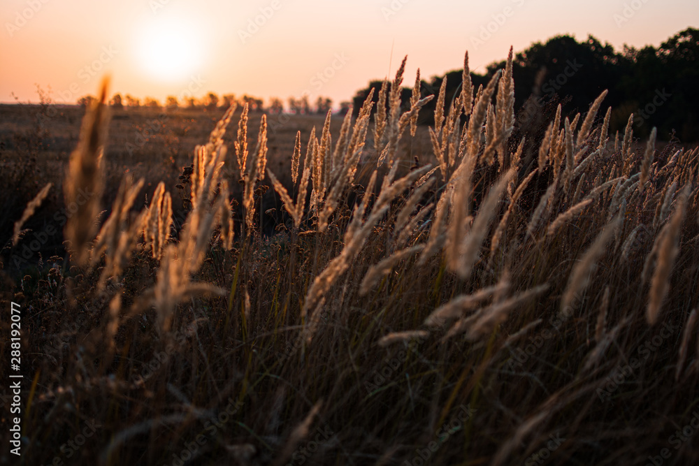 on the eve of autumn