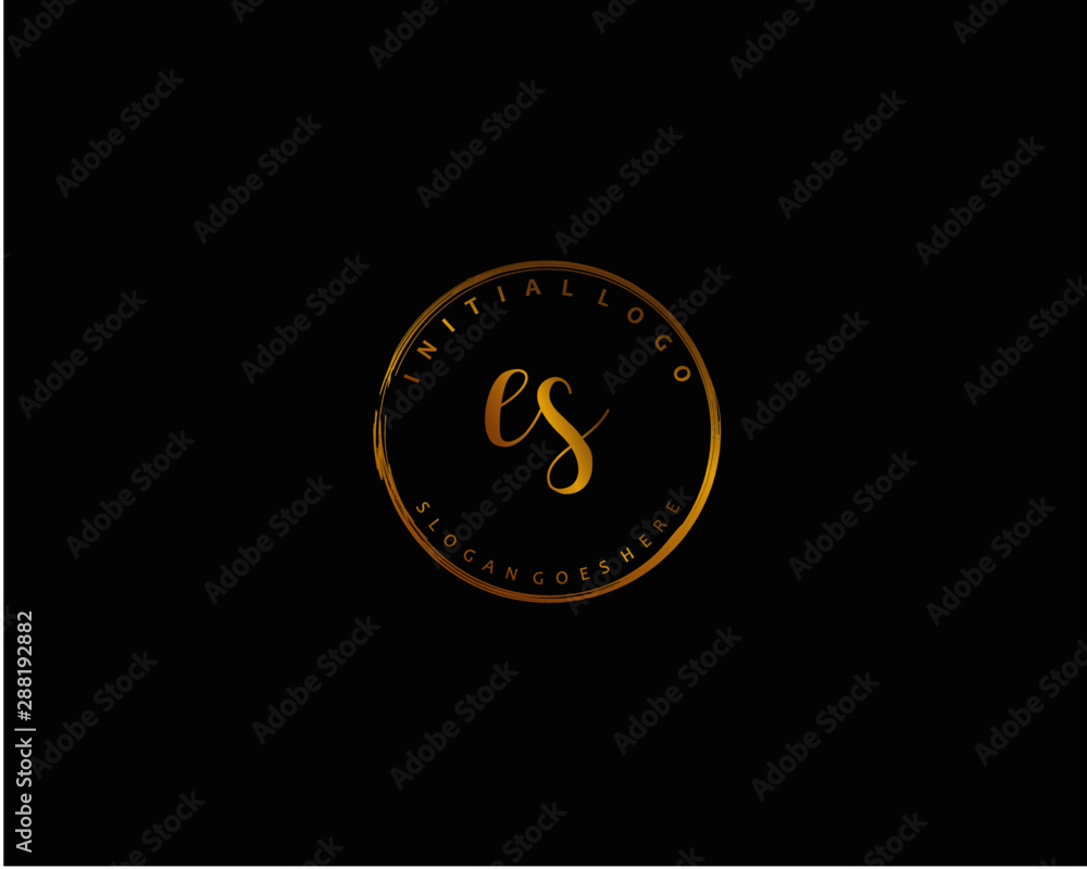 Fototapeta premium ES Initial letter logo template vector 