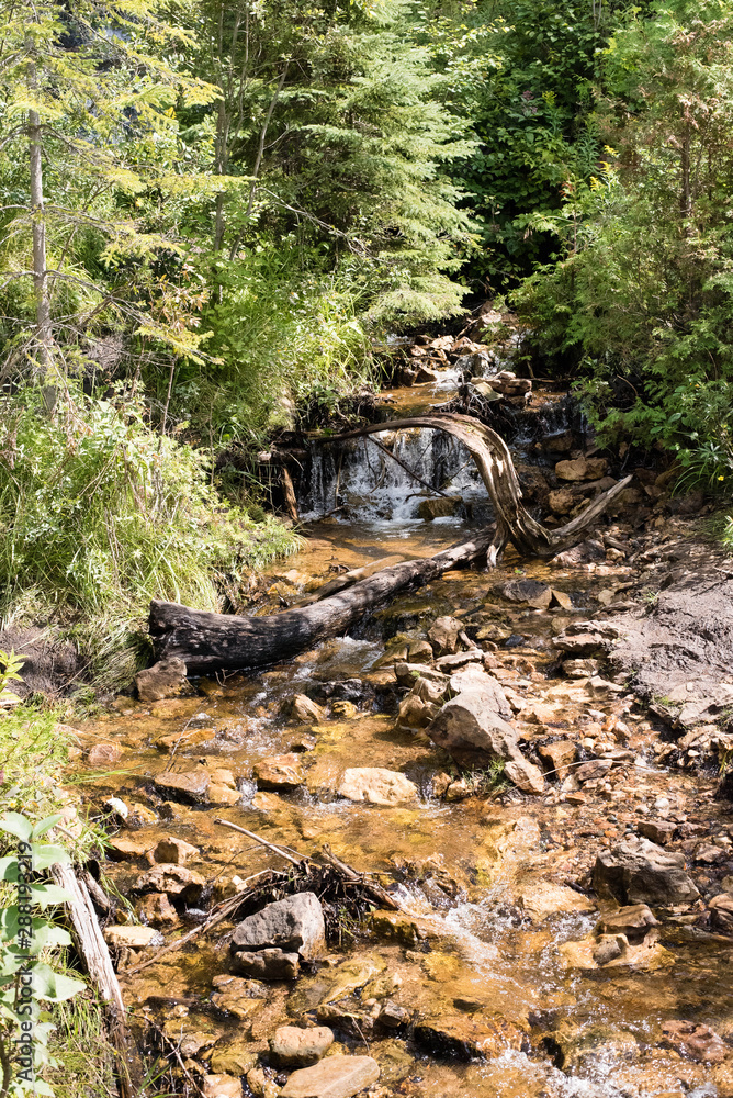 Obraz premium Waterfall