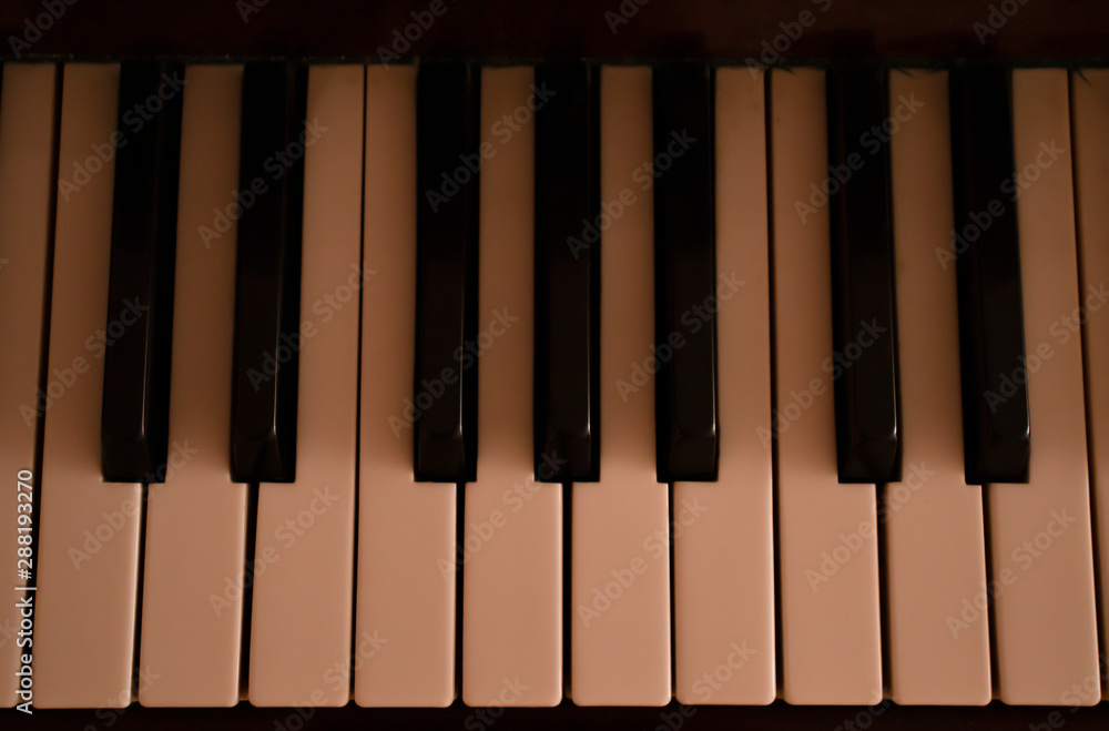Piano musical instrument with white and black keys Piano musical instrument with white and black keys