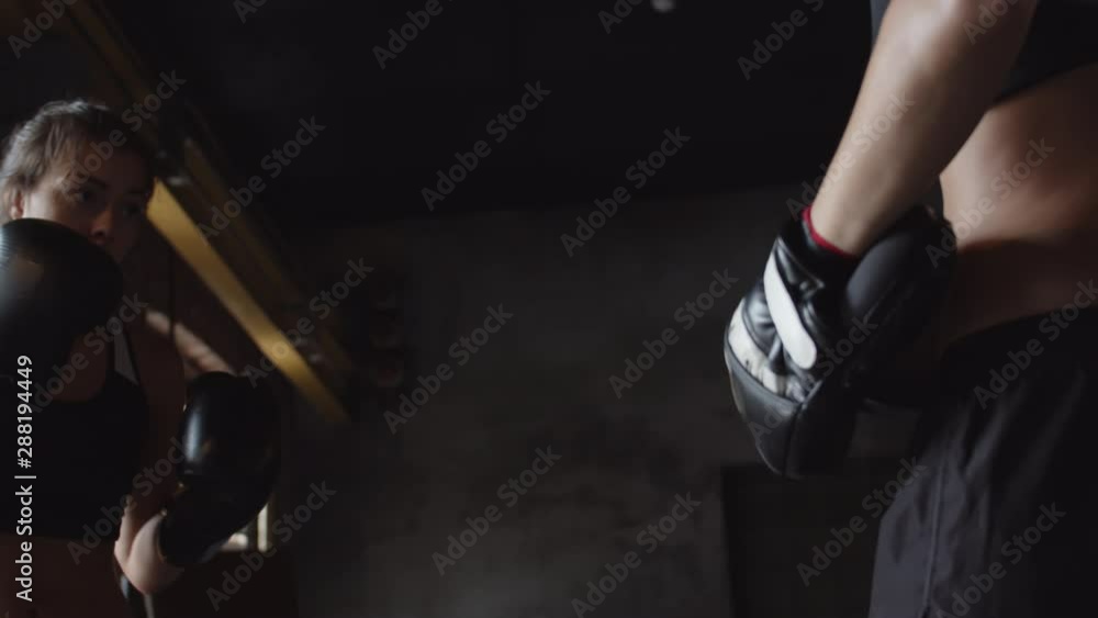 Low angle view of two female martial arts fighters wearing sportswear and gloves having sparring in gym Low angle view of two female martial arts fighters wearing sportswear and gloves having sparring in gym