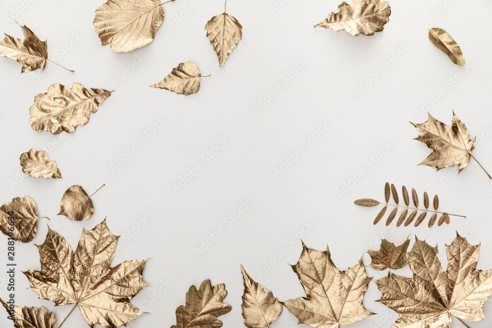top view of golden foliage on white background top view of golden foliage on white background