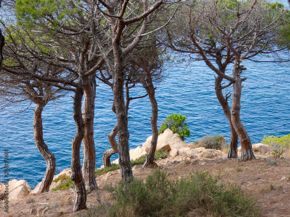 Paisaje de la Costa Brava catalana, España, con el mar azul, islas, aguas cristalinas, árboles y acantilados Paisaje de la Costa Brava catalana, España, con el mar azul, islas, aguas cristalinas, árboles y acantilados