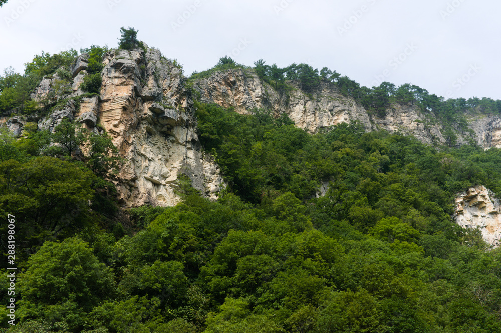 View of mountain forest trees and dramatic heavy blue sky. Natural landscape with sunny background. Green wood forest with clouds scenery. Russian nature, Sochi