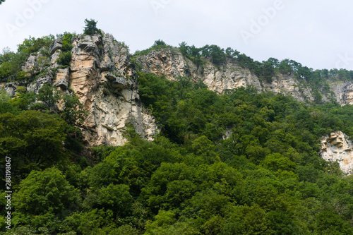 View of mountain forest trees and dramatic heavy blue sky. Natural landscape with sunny background. Green wood forest with clouds scenery. Russian nature  Sochi