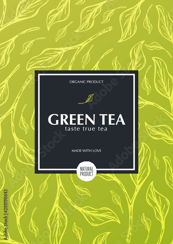 Green tea banner with hand draw leaves on the background.