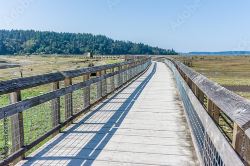 Nisqually Wetlands Mud Flats And Boardwalk 6 © George Cole