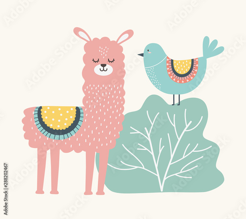 Llama and bird cartoon design vector illustration