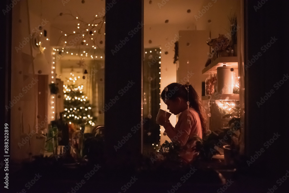 Young girl sipping hot chocolate in the kitchen seen from outside through a window. Young girl sipping hot chocolate in the kitchen seen from outside through a window.