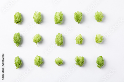 Tableau sur toile Flat lay composition with hop on white background, space for text