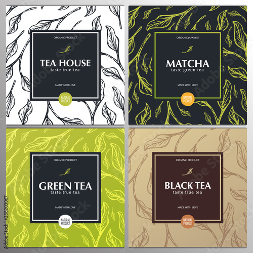 Collection tea banners. Green and Black tea, Matcha Japanese tea. Hand draw leaves on the background.