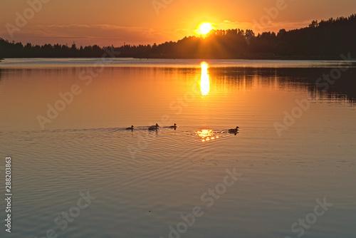  Kostroma river at sunset in the summer. Kostroma  Russia.