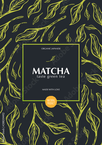 Matcha green tea. Organic Japanese Product. Banner with hand draw leaves on the background.