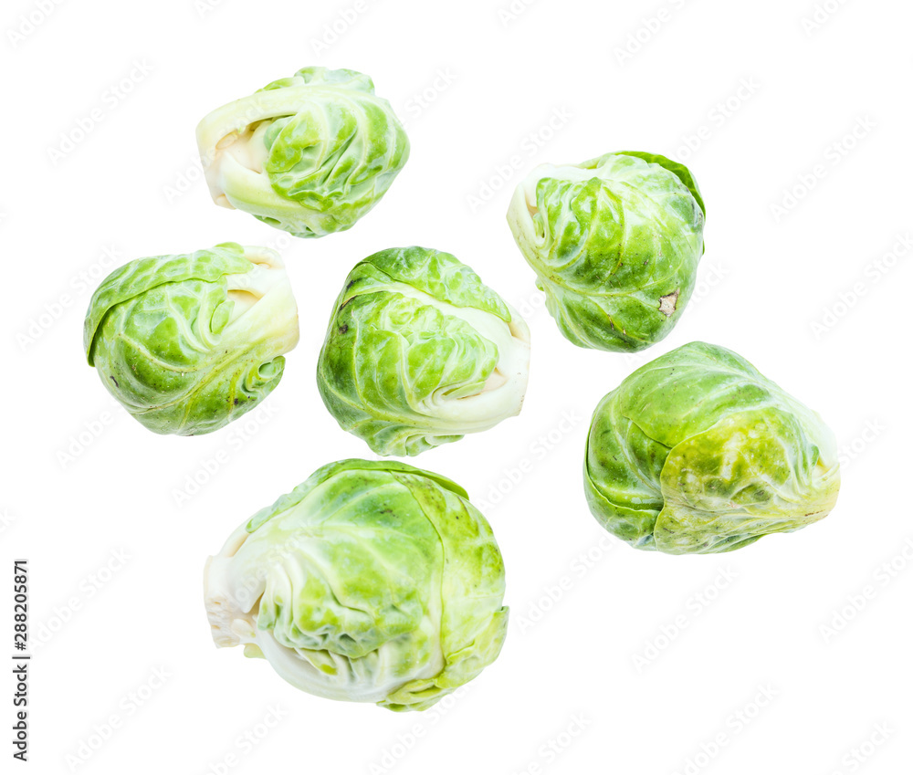 several fresh brussels sprouts isolated on white several fresh brussels sprouts isolated on white