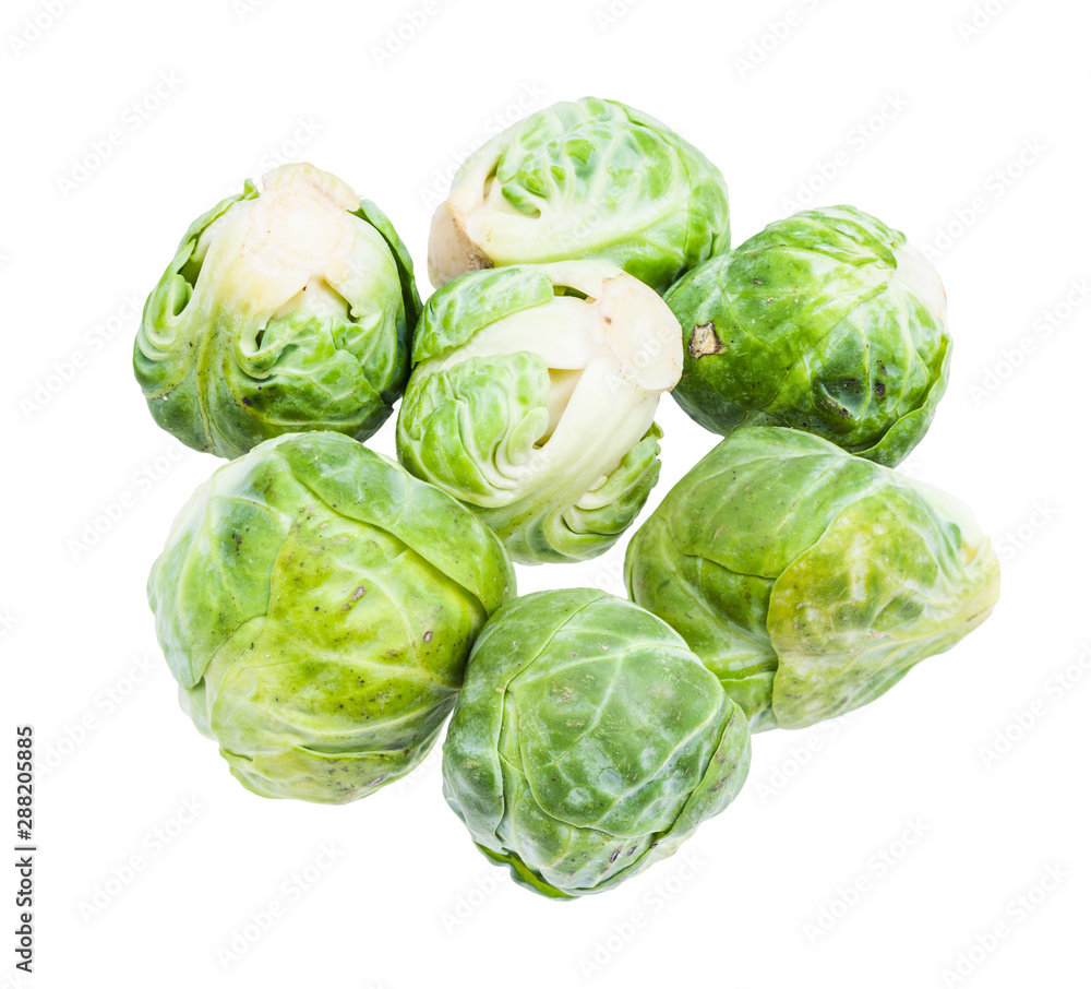 Fototapeta premium mny fresh brussels sprouts isolated on white