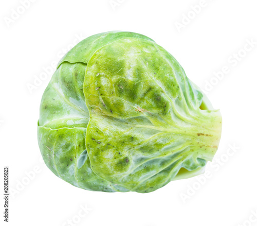 single fresh brussels sprout isolated on white