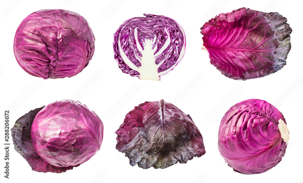 various leaves and heads of red cabbages isolated various leaves and heads of red cabbages isolated