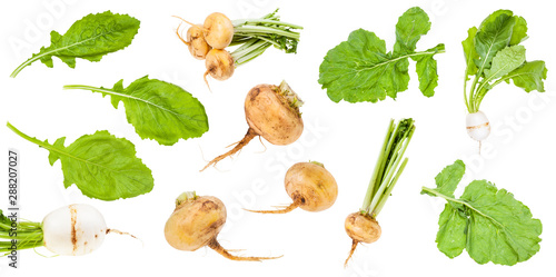 Foto various greens and roots of turnips isolated