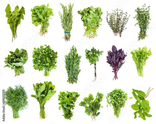 various bunches of fresh edible greens isolated