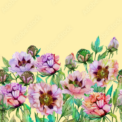 Beautiful peony flowers with green leaves on yellow background. Seamless flor...