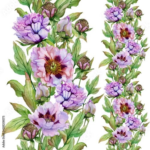 Beautiful peony flowers with green leaves on white background. Seamless flora...