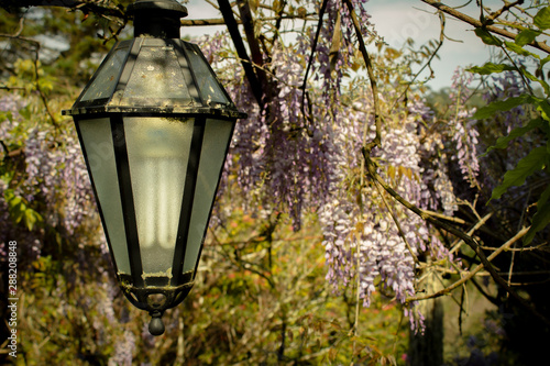 old street lamp in the park