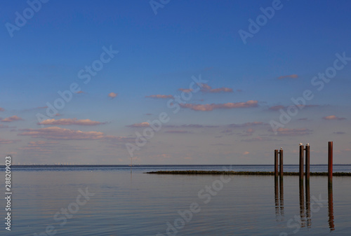 Cuxhaven,Germany,9,2014 relaxing picture of the north sea and its birds © Teresa