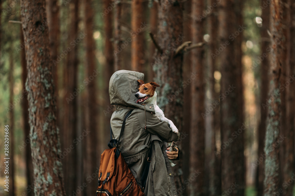 Woman walking inside forest with her dog Woman walking inside forest with her dog
