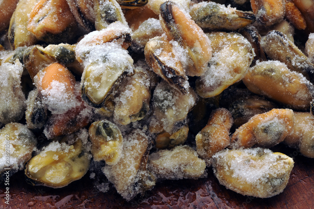 Cozze surgelate ft21_7087 Mejillones congelados Cozze surgelate ft21_7087 Mejillones congelados