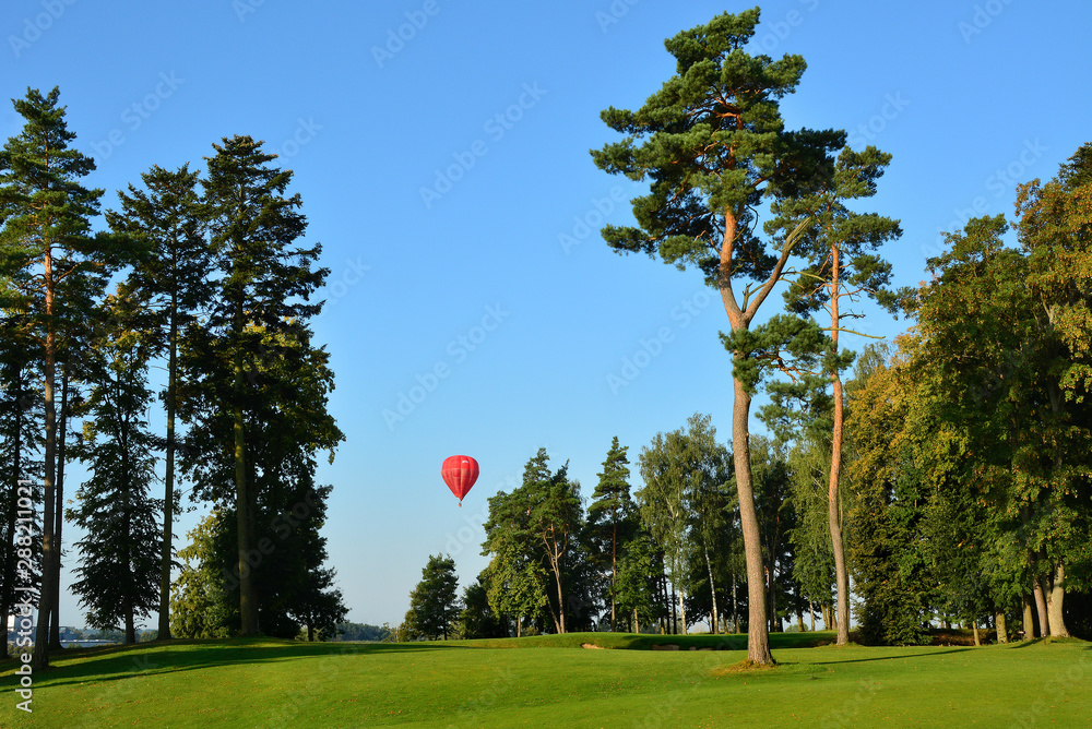 czerwony balon na niebie, drzewa - obrazy, fototapety, plakaty 