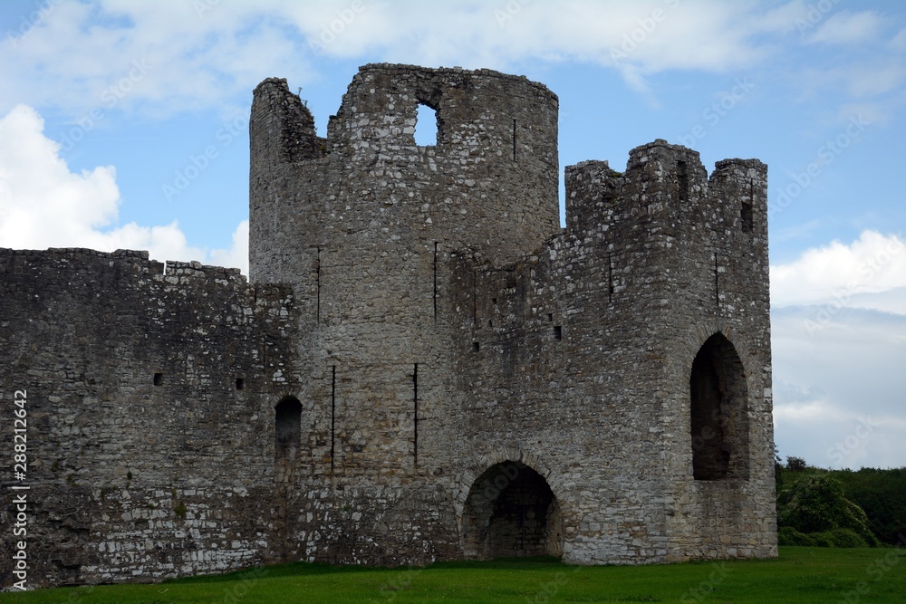 Medieval castle, Trim, Ireland