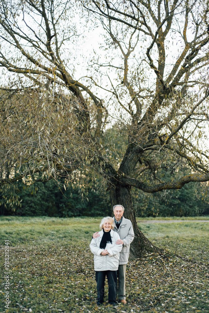 Romantic aged couple holding hands in park Romantic aged couple holding hands in park