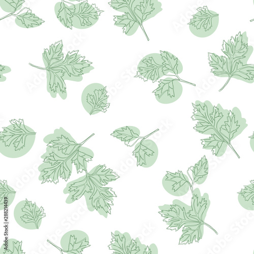 Botanical hand drawn seamless pattern with green parsley leaves on white background. Backdrop with aromatic herb, plant cultivated for culinary use. Natural colored vector illustration.