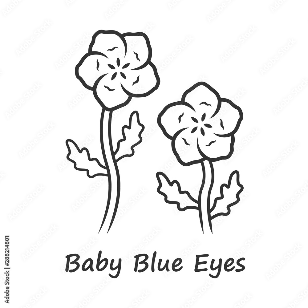 Baby blue eyes linear icon. Linen blooming flower with name inscription. Nemophila menziesii garden plant. Blue flax inflorescence. Thin line illustration. Contour symbol. Vector isolated drawing
