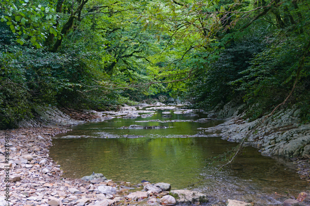 Mountain fast river Sochi in Sochi Mountain fast river Sochi in Sochi