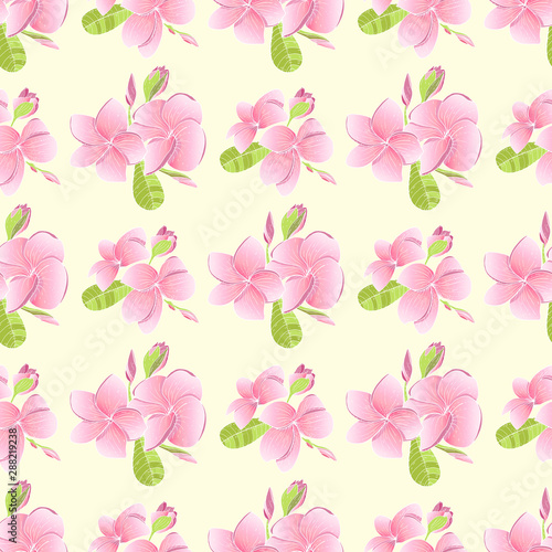 Seamless pattern with Plumeria. Endless texture for wedding design with Frangipani.