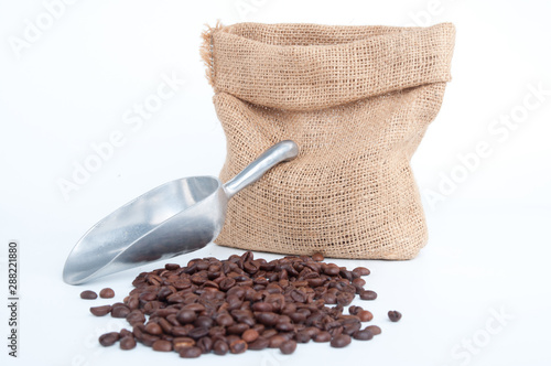 Bean of coffee